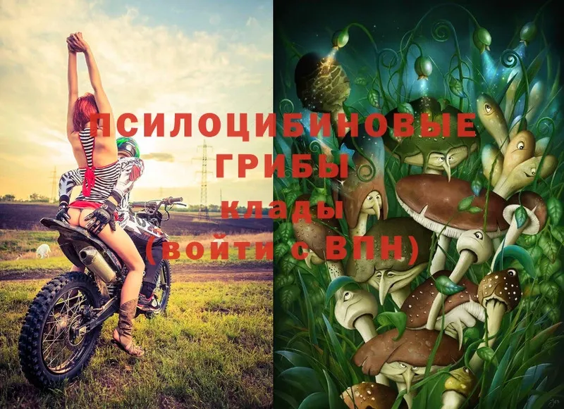 Галлюциногенные грибы MAGIC MUSHROOMS  Оханск 